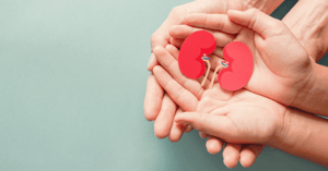 Kidney Donation Blog Header Option