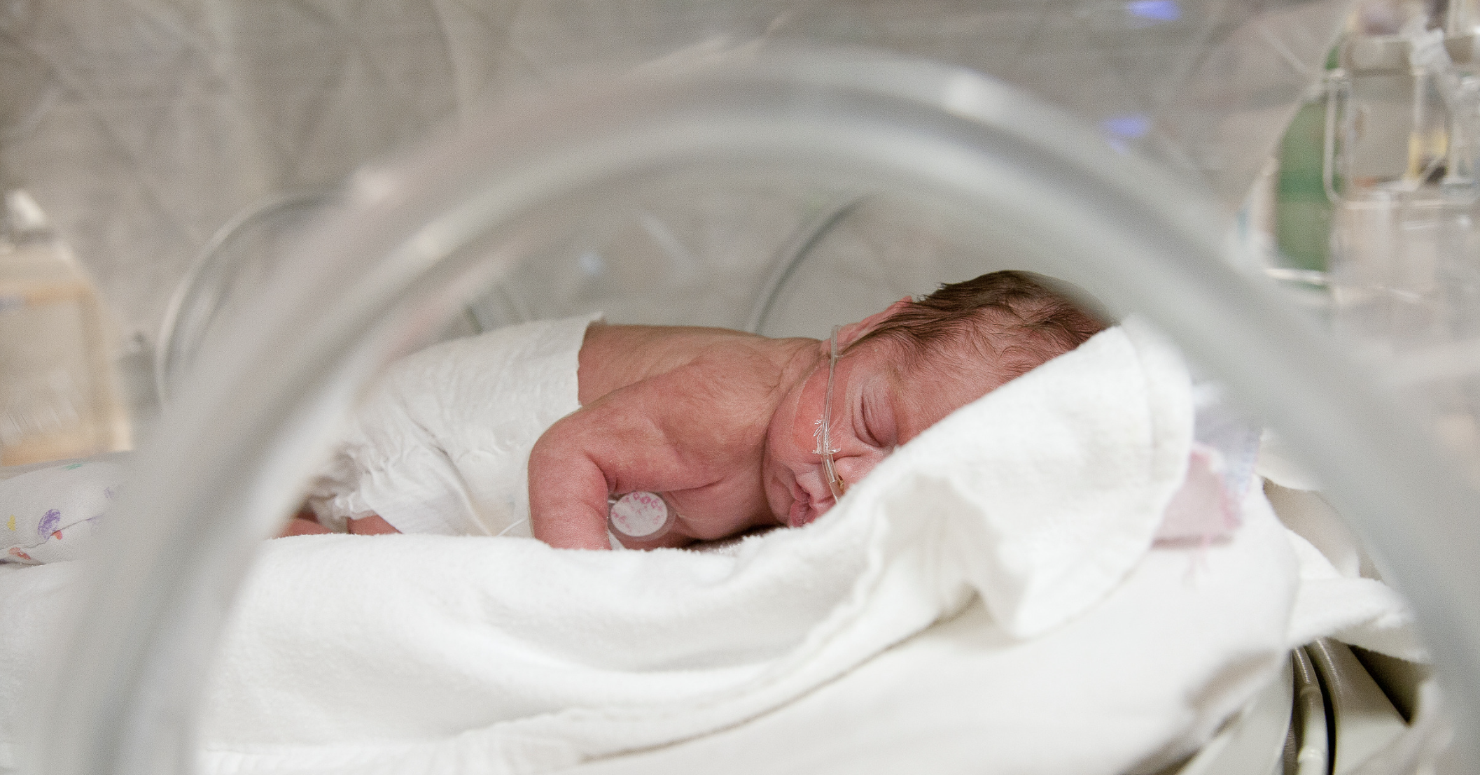 Prematurity Awareness: The Miracle of Life